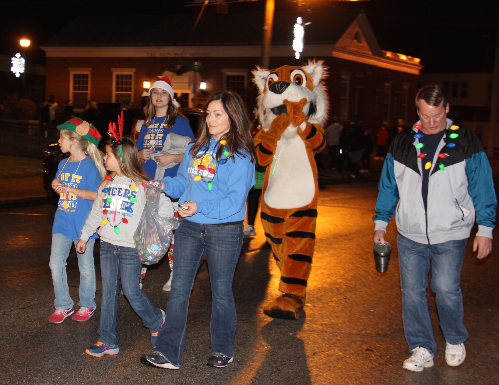 Tiger walk